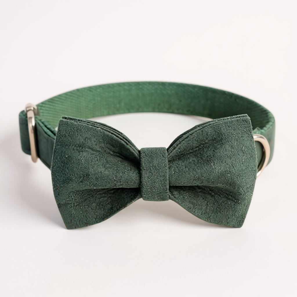 MUTTCO pet collar bow traction set