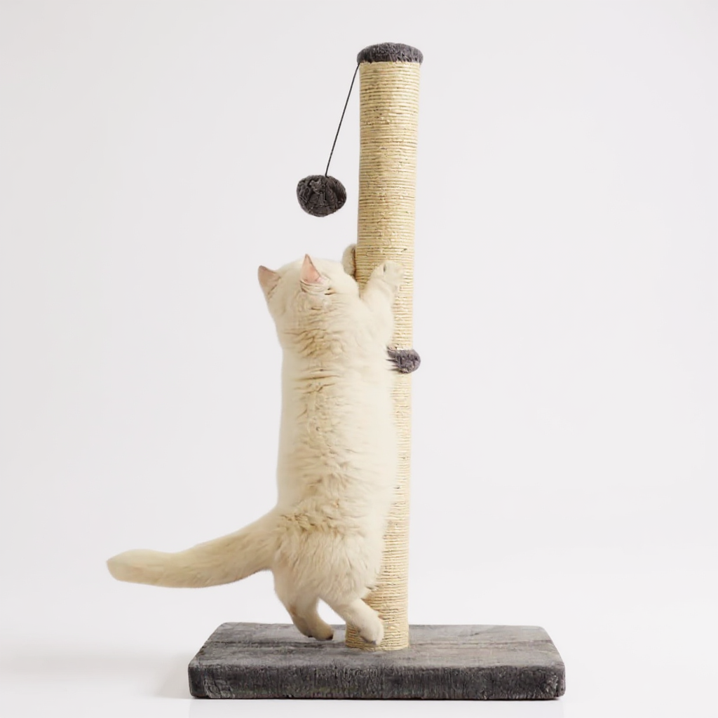 Durable Sisal Rope With Hanging Ball Toy Cat Scratching